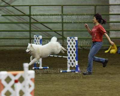 SCA2016_AG MON JWW NOVICE-1202