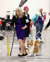 CWCCA MEGAN RED-SABLE D-2715