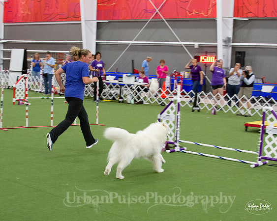 AGILITY_9478