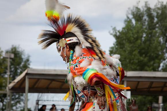 Wacipi_2011-2443