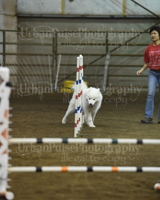 SCA2016_AG MON JWW NOVICE-1203