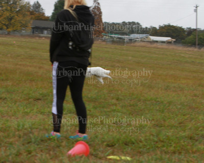 SCA2016_LURE COURSING-7679