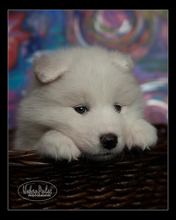 MaterxMaya5.5wks-8652