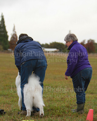 SCA2016_LURE COURSING-7419