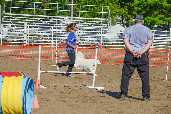 AGILITY-2139