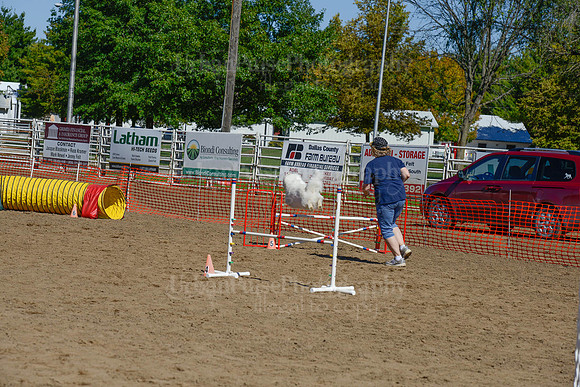 AGILITY-2389