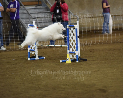 SCA2016_AG MON STD NOVICE-1090