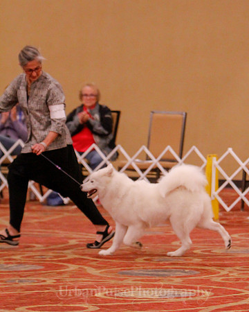 SCA2019 BEST OF-0686