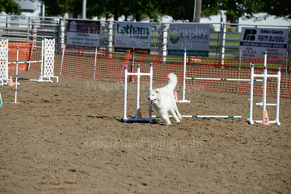 AGILITY-1943