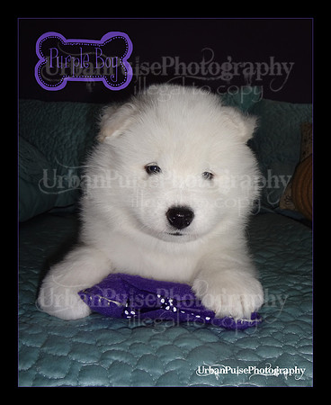 MARLOWE 5 WKS-DSC00083
