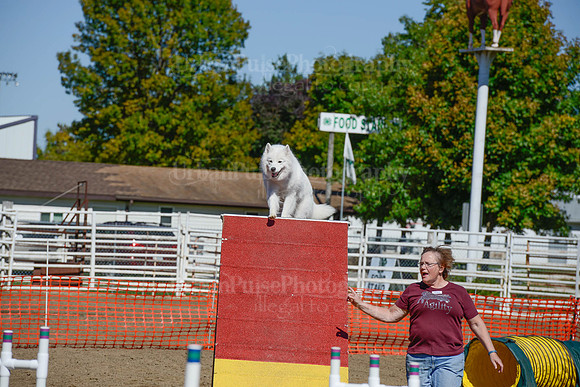AGILITY-2319
