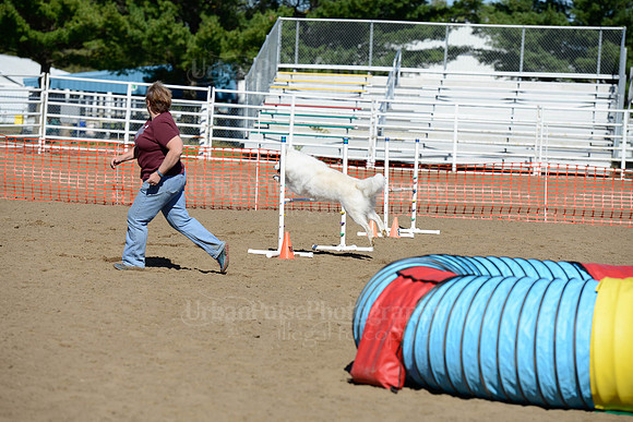 AGILITY-2009