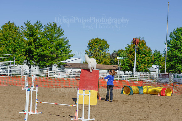 AGILITY-2209