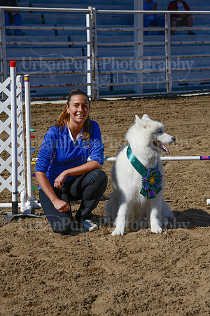 AGILITY-2220