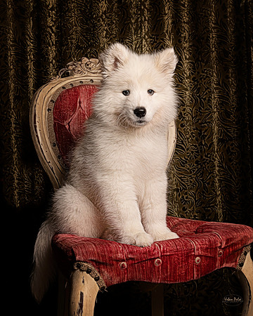 RAGS 10 wks 7861