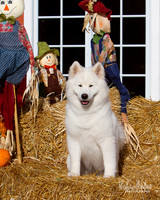 Maya Fall_8477