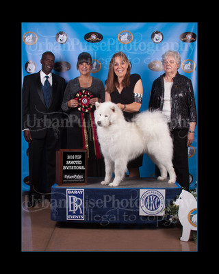 2016 TOP S AWARD-8520
