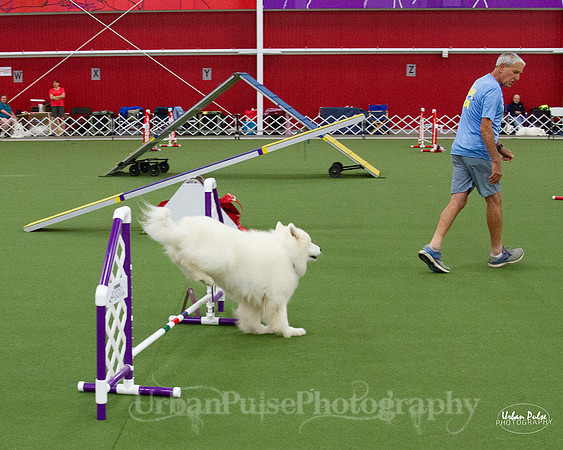 AGILITY_9516