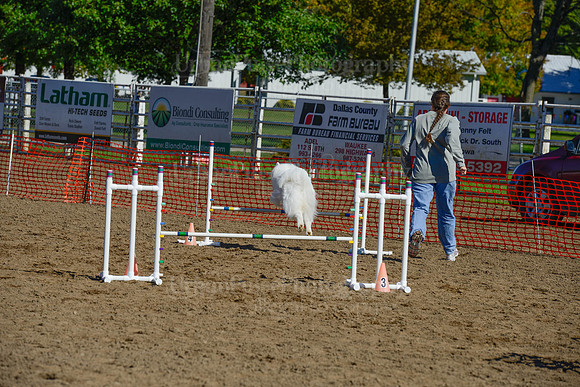 AGILITY-2159