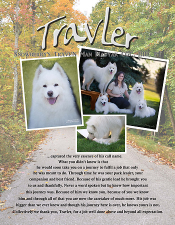 Travlr copy