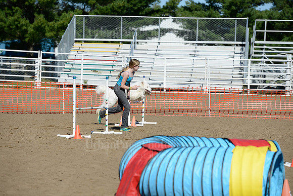 AGILITY-1934