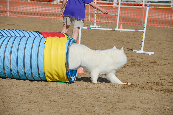 AGILITY-2090