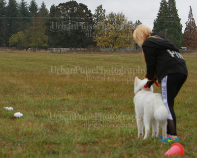 SCA2016_LURE COURSING-7642
