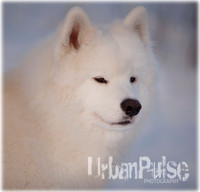 MaunaKea_5097