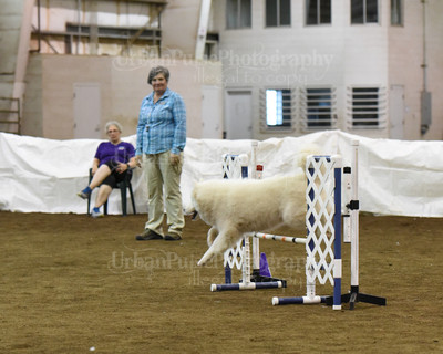 SCA2016_AG MON JWW NOVICE-1196
