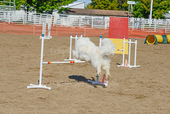 AGILITY-2362