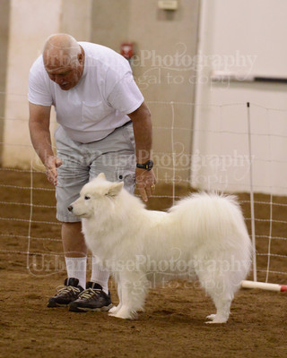 SCA2016_AG MON FAST NOVICE-3520