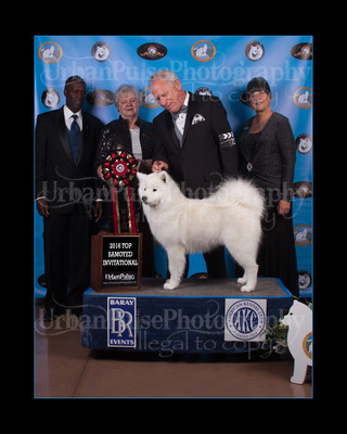 2016 TOP S AWARD-8542
