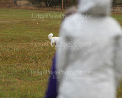 SCA2016_LURE COURSING-7400