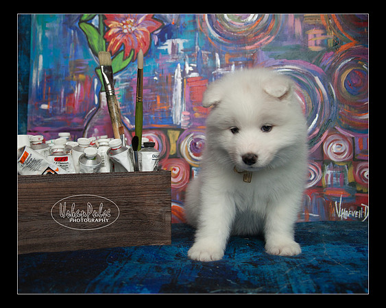 MaterxMaya5.5wks-8637