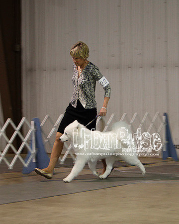 Fargo_2011-3615