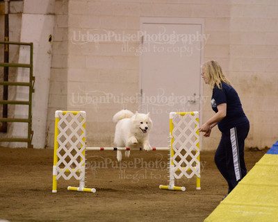 SCA2016_AG MON FAST NOVICE-3552