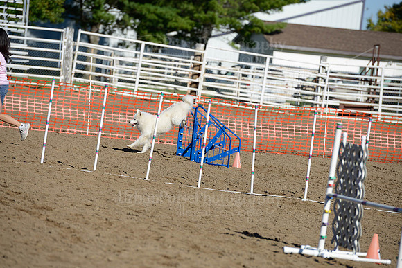 AGILITY-1850
