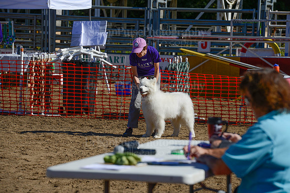 AGILITY-2179