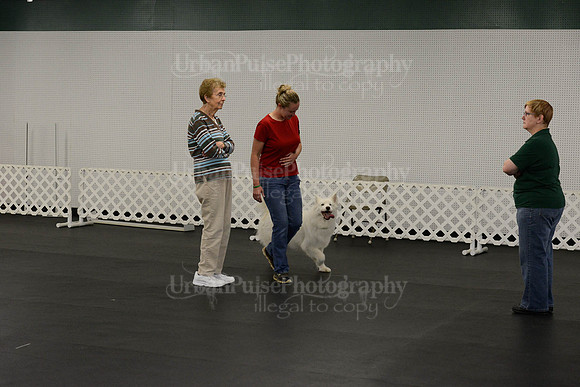OBEDIENCE-RALLY-3859
