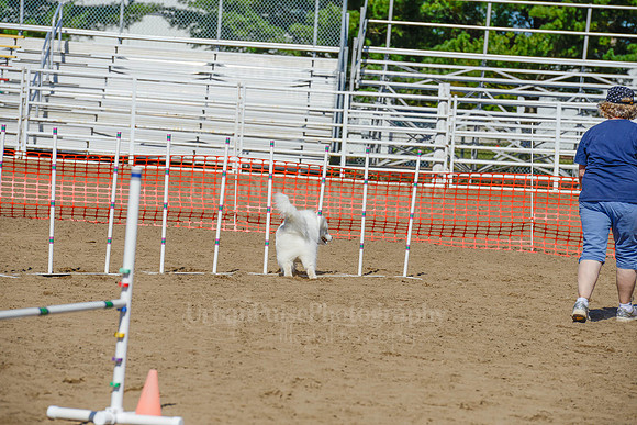 AGILITY-2399
