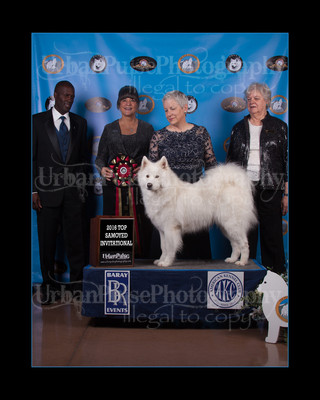 2016 TOP S AWARD-8527