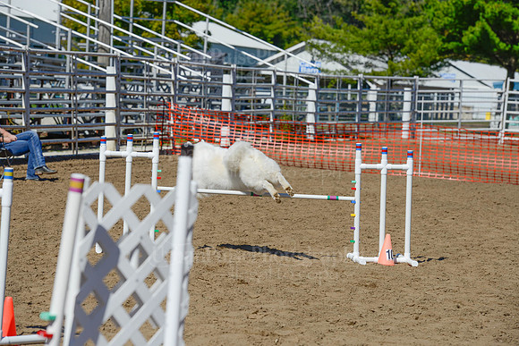 AGILITY-2300