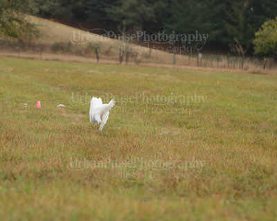 SCA2016_LURE COURSING-7423