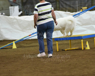 SCA2016_AG MON STD NOVICE-1088
