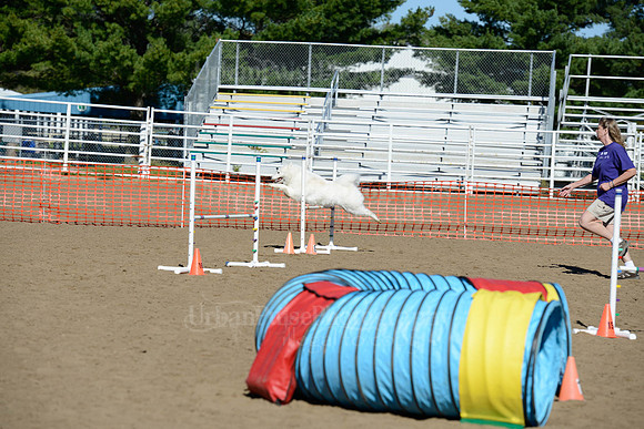 AGILITY-1901