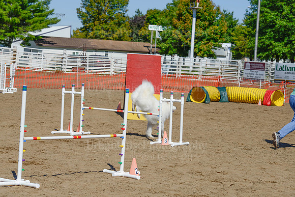 AGILITY-2338