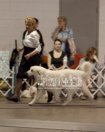 Fargo_2011-4077