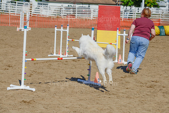 AGILITY-2313