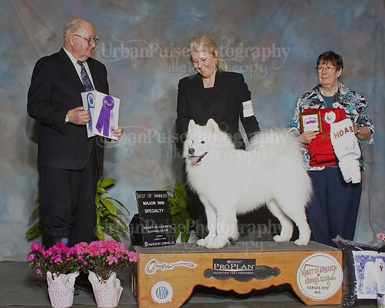 Marlowe Heart of America WD Award Shot