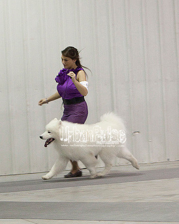 Fargo_2011-4244
